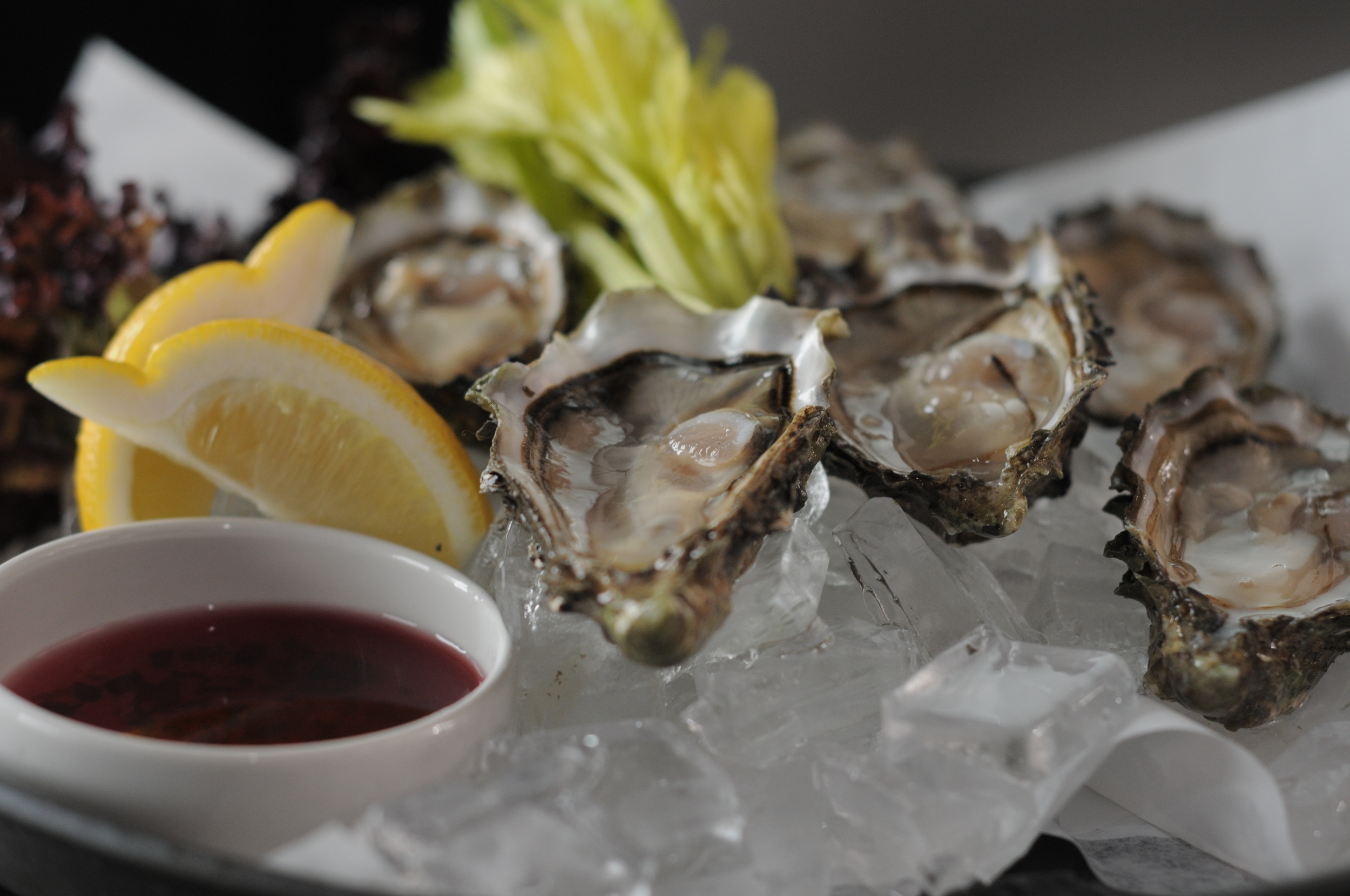 koral_oysters_jh.jpg