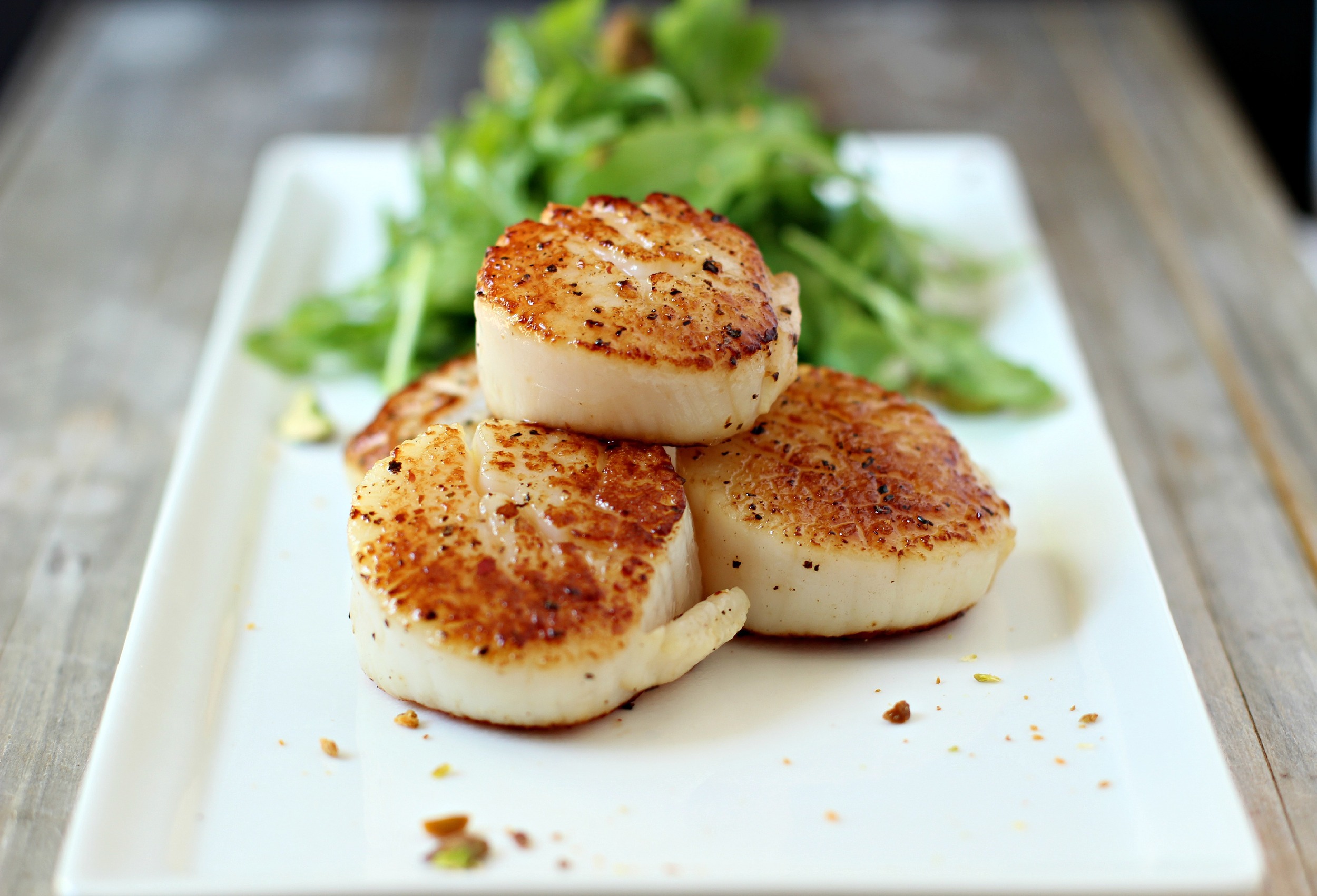scallops-065.jpg